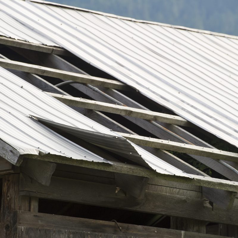 A close-up of a weathered metal roof with several large, bent, and missing panels revealing gaps, atop an old wooden building, with some greenery visible on the right side.