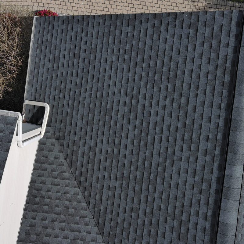 Aerial view of two intersecting gray shingled rooftops with a white ladder leaning against the roofline; some leafless shrubs and part of a driveway are visible at the top left.